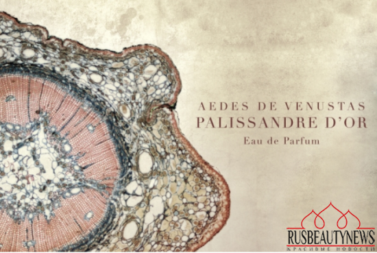 Aedes de Venustas PALISSANDRE D’OR look